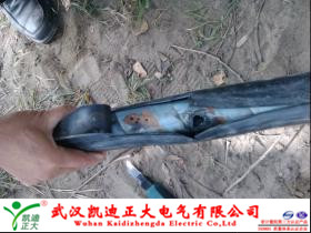 午夜黄色视频免费观看测试点.jpg